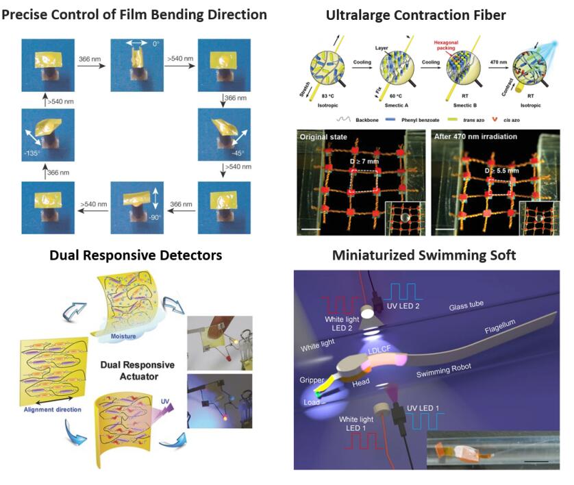 Photodeformable Liquid Crystal Polymer Materials and Smart Robots